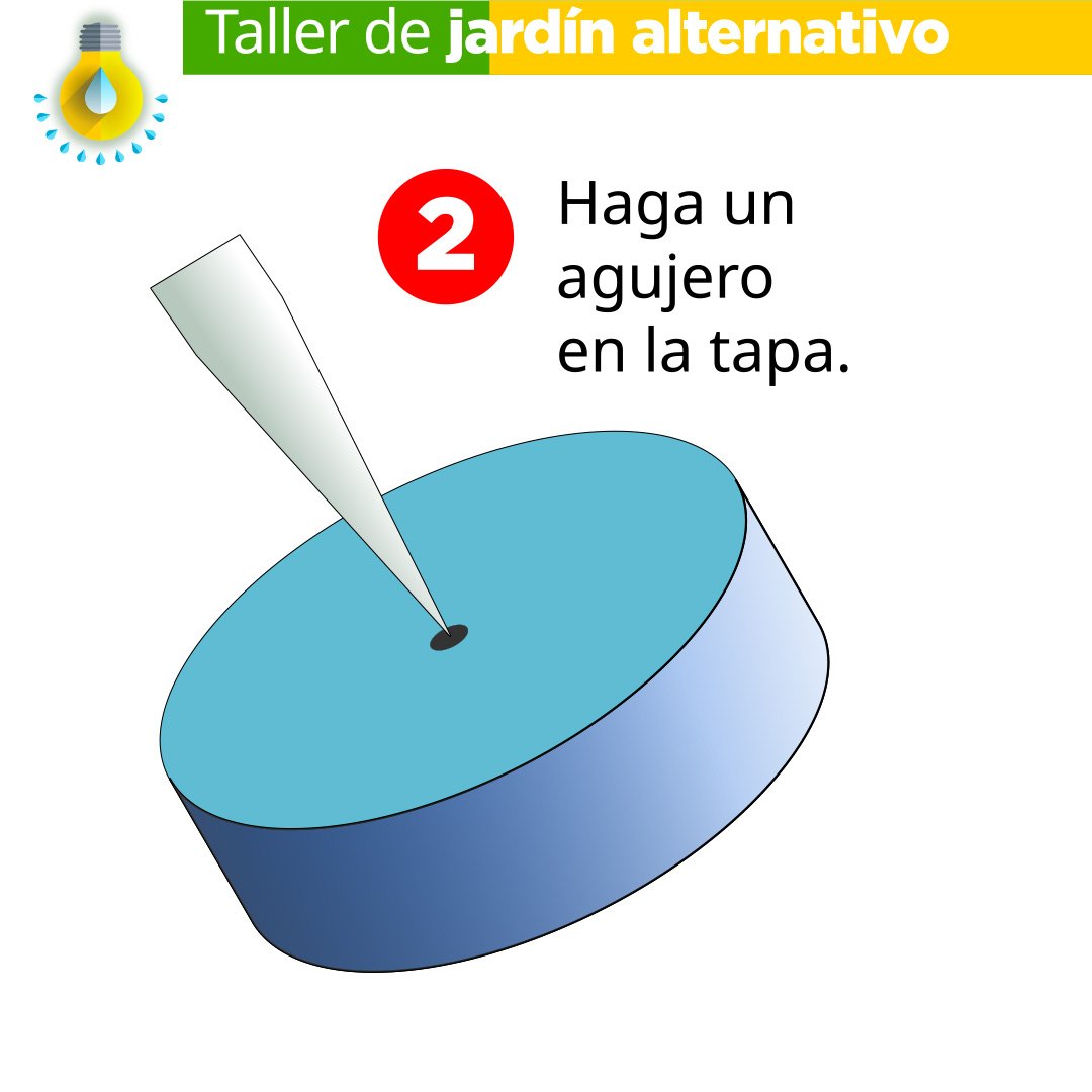 Riego por Goteo Directo