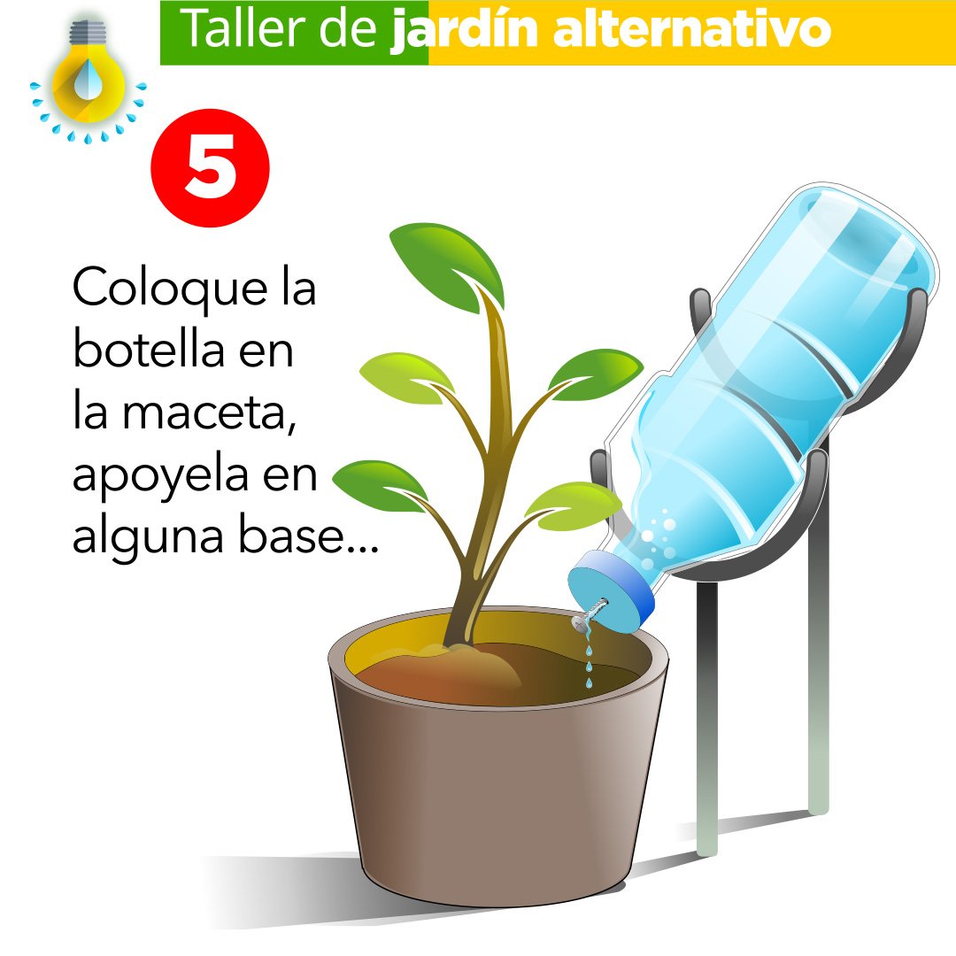 Riego por Goteo Directo