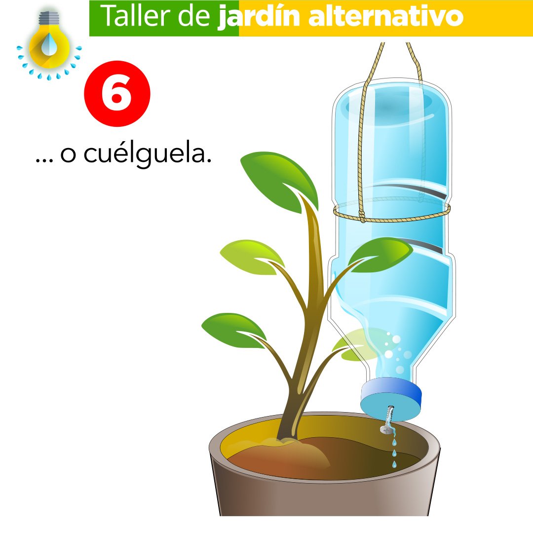 Riego por Goteo Directo